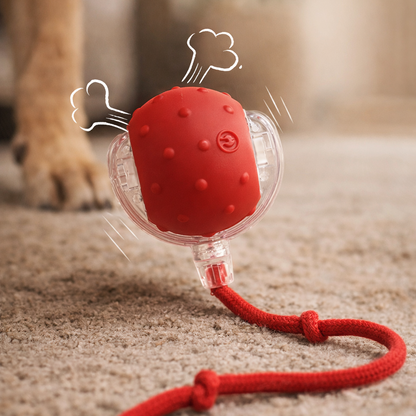 SmartBall Pro - Nanas & Benis ™️